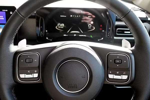 2025 GWM Cannon Vanta NPW 4X4