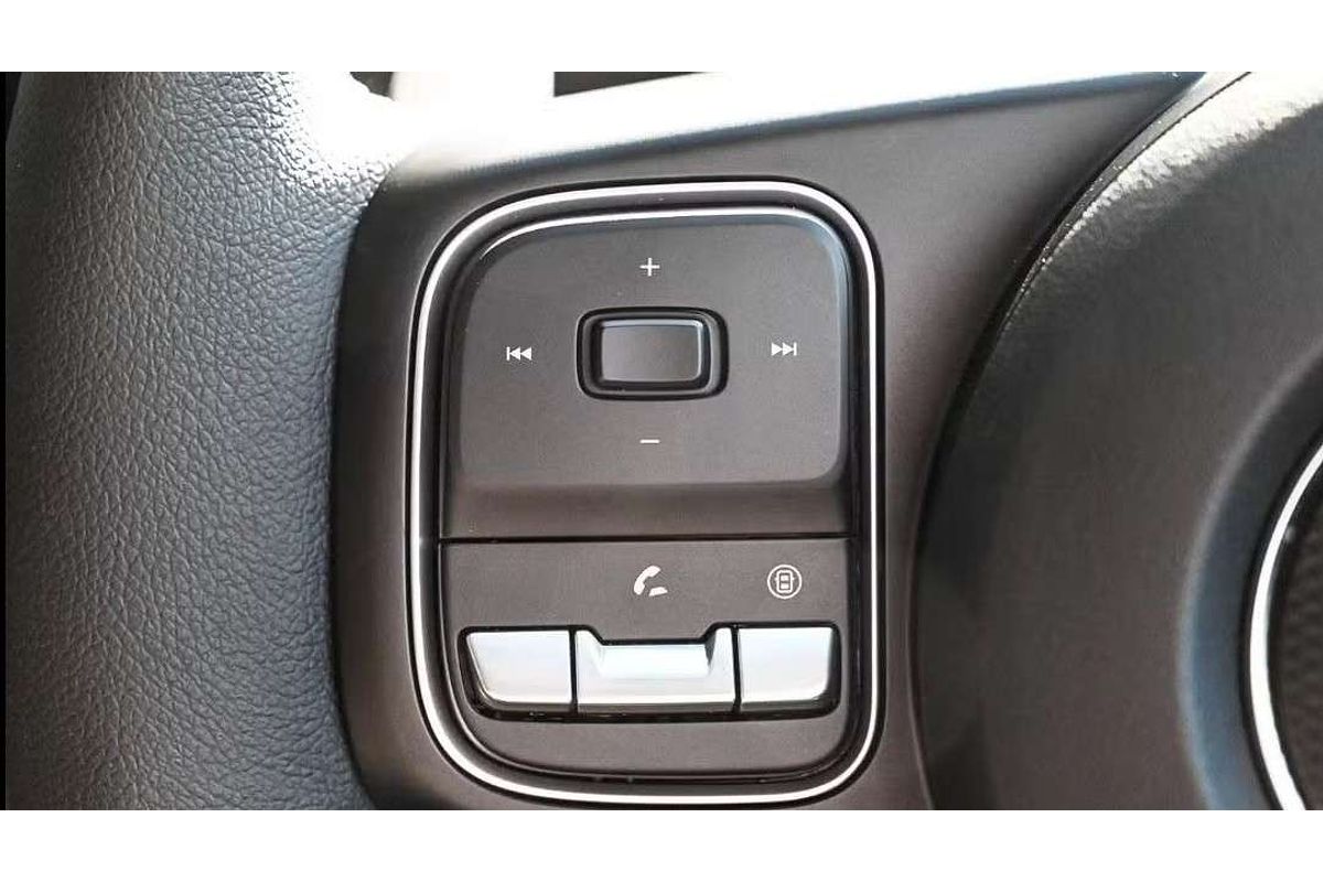 2025 GWM Cannon Vanta NPW 4X4