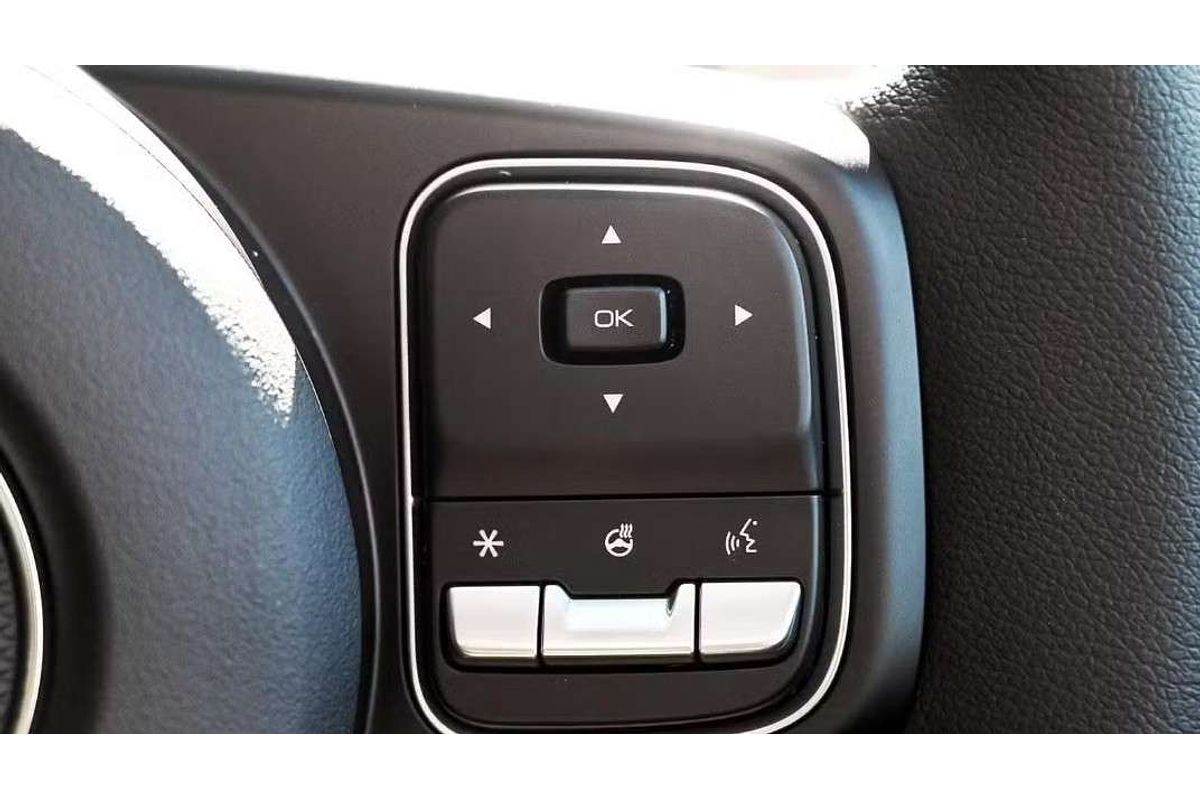 2025 GWM Cannon Vanta NPW 4X4