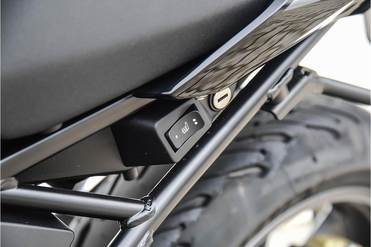 2025 BMW Motorcycles R SERIES