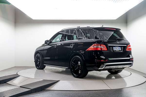 2013 Mercedes-Benz M-Class ML250 BlueTEC W166