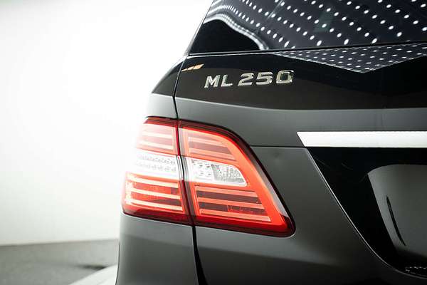 2013 Mercedes-Benz M-Class ML250 BlueTEC W166