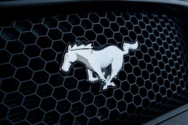 2020 Ford Mustang GT FN
