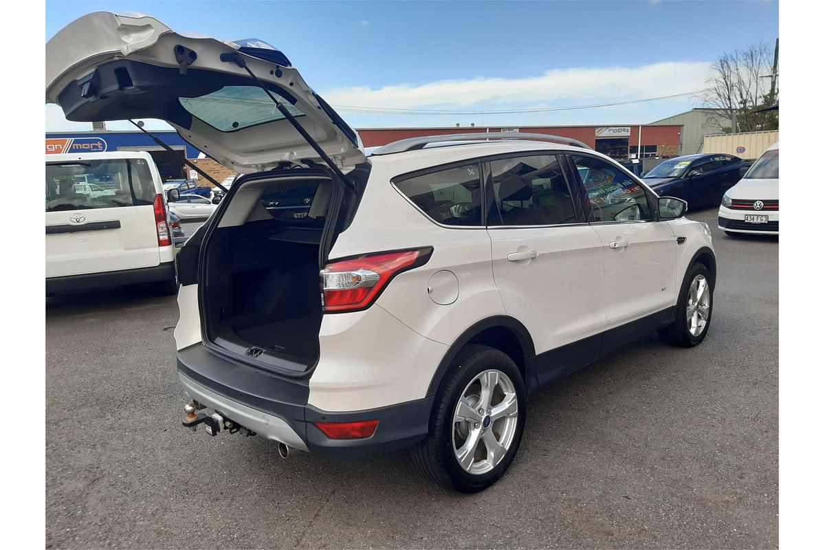 2019 Ford Escape TREND (AWD) ZG MY19.75