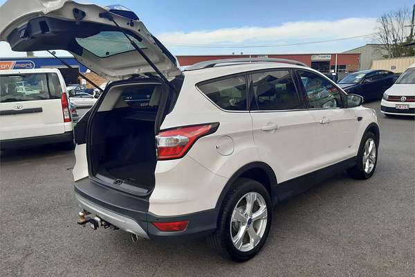 2019 Ford Escape TREND (AWD) ZG MY19.75