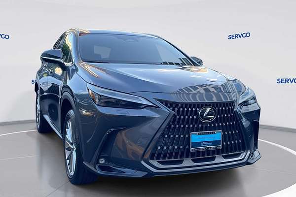 2022 Lexus NX Luxury