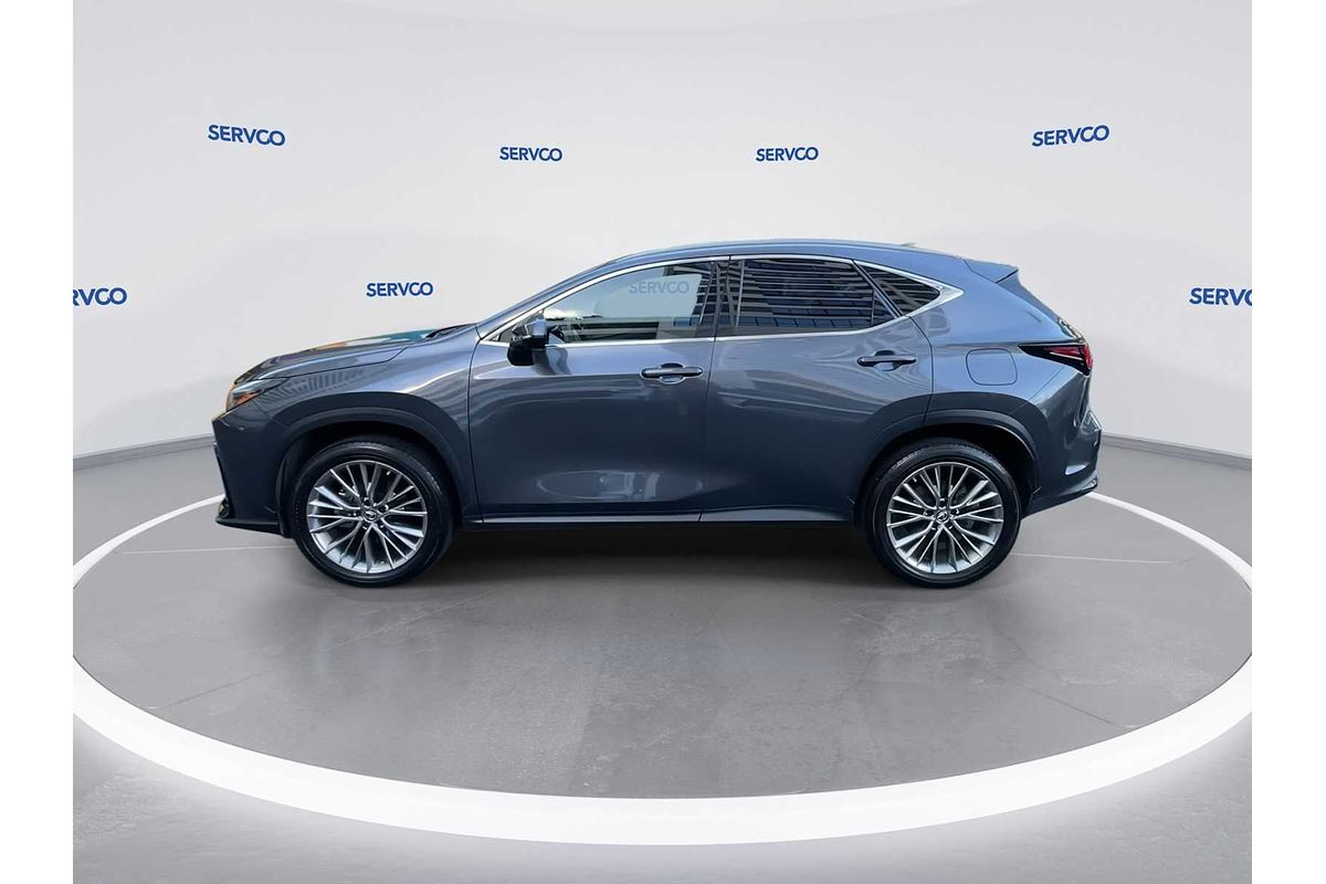 2022 Lexus NX Luxury