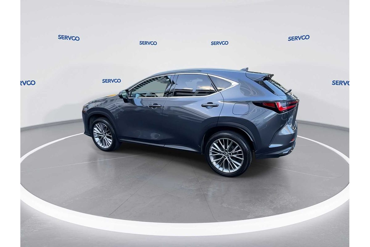 2022 Lexus NX Luxury