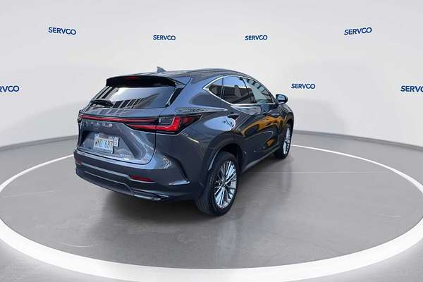 2022 Lexus NX Luxury