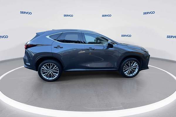 2022 Lexus NX Luxury