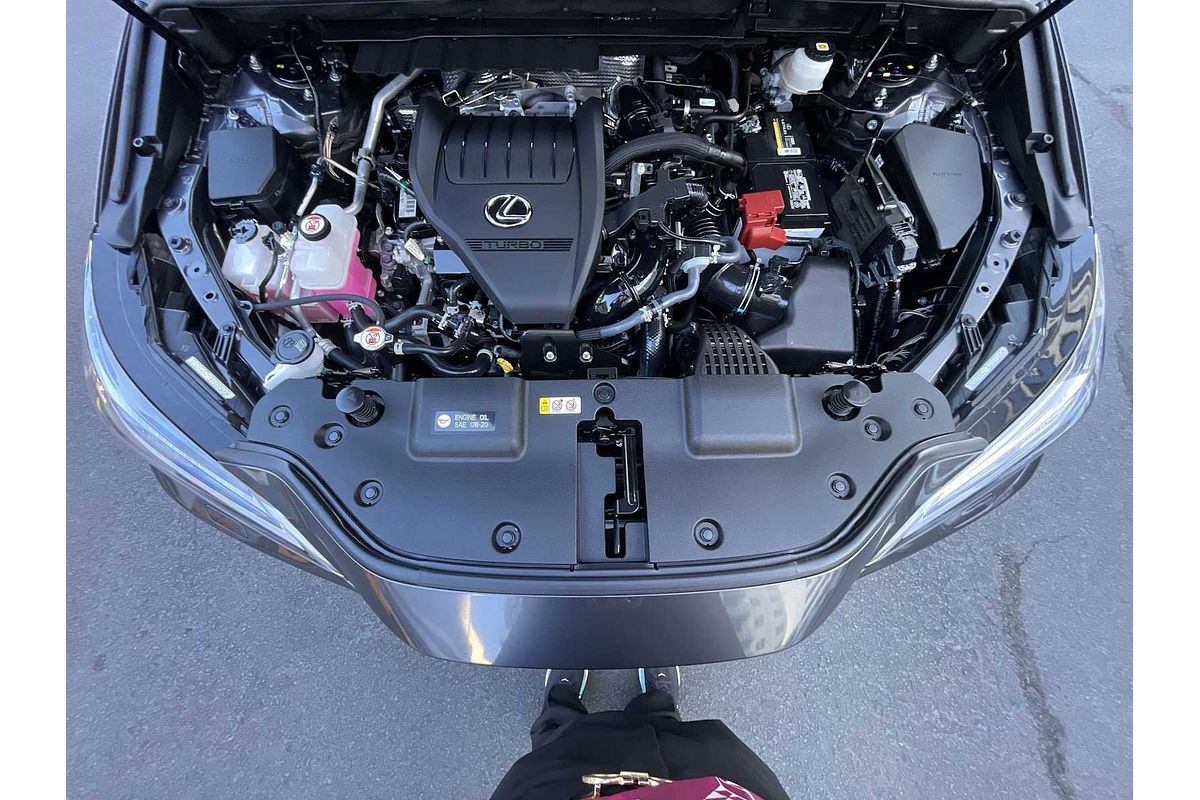 2022 Lexus NX Luxury