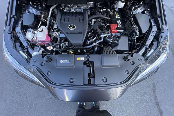 2022 Lexus NX Luxury