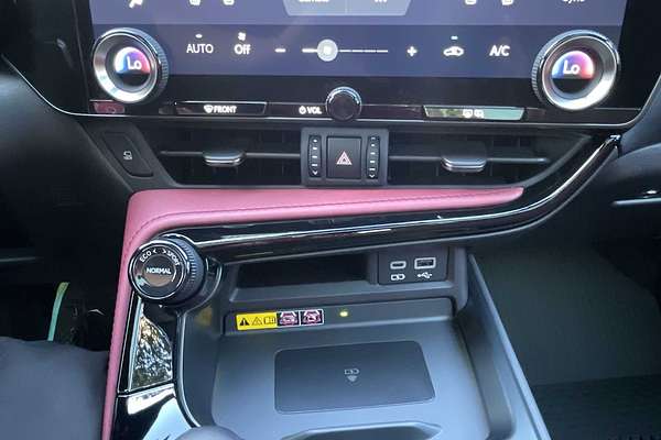 2022 Lexus NX Luxury