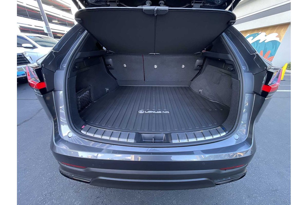 2022 Lexus NX Luxury