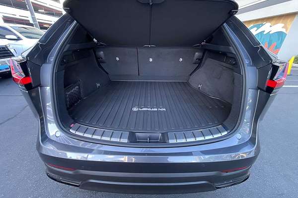 2022 Lexus NX Luxury