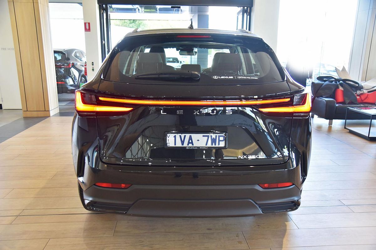 2024 Lexus NX NX250 AAZA20R