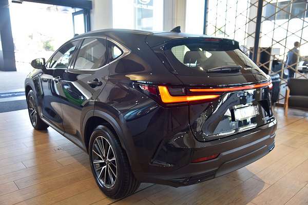 2024 Lexus NX NX250 AAZA20R
