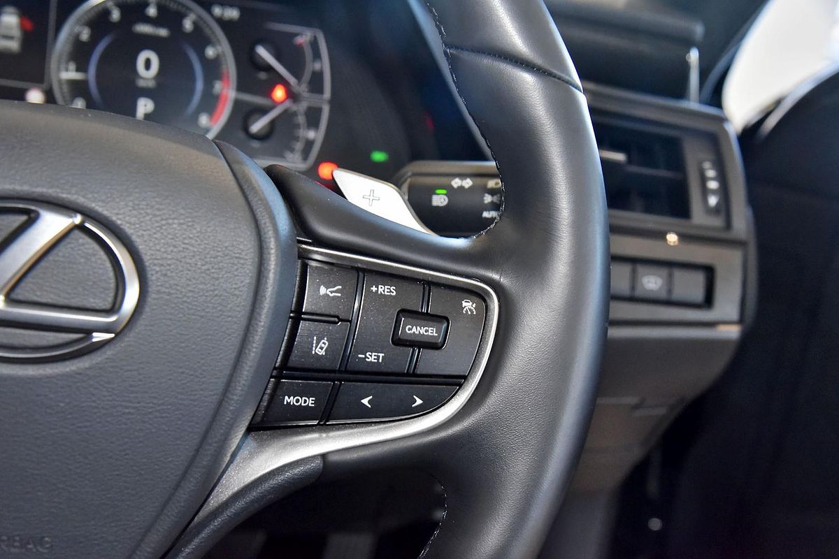 2024 Lexus ES ES250 Luxury AXZA10R