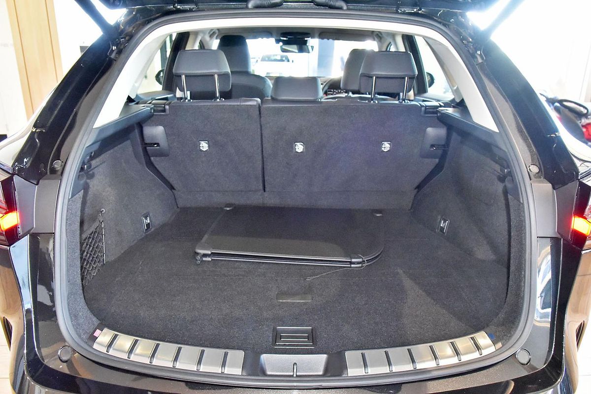 2024 Lexus NX NX250 AAZA20R