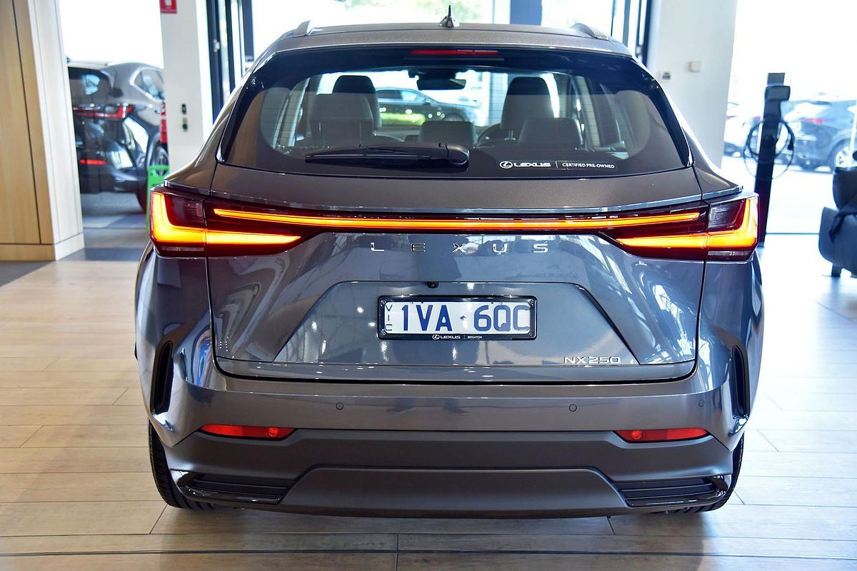 2024 Lexus NX NX250 AAZA20R