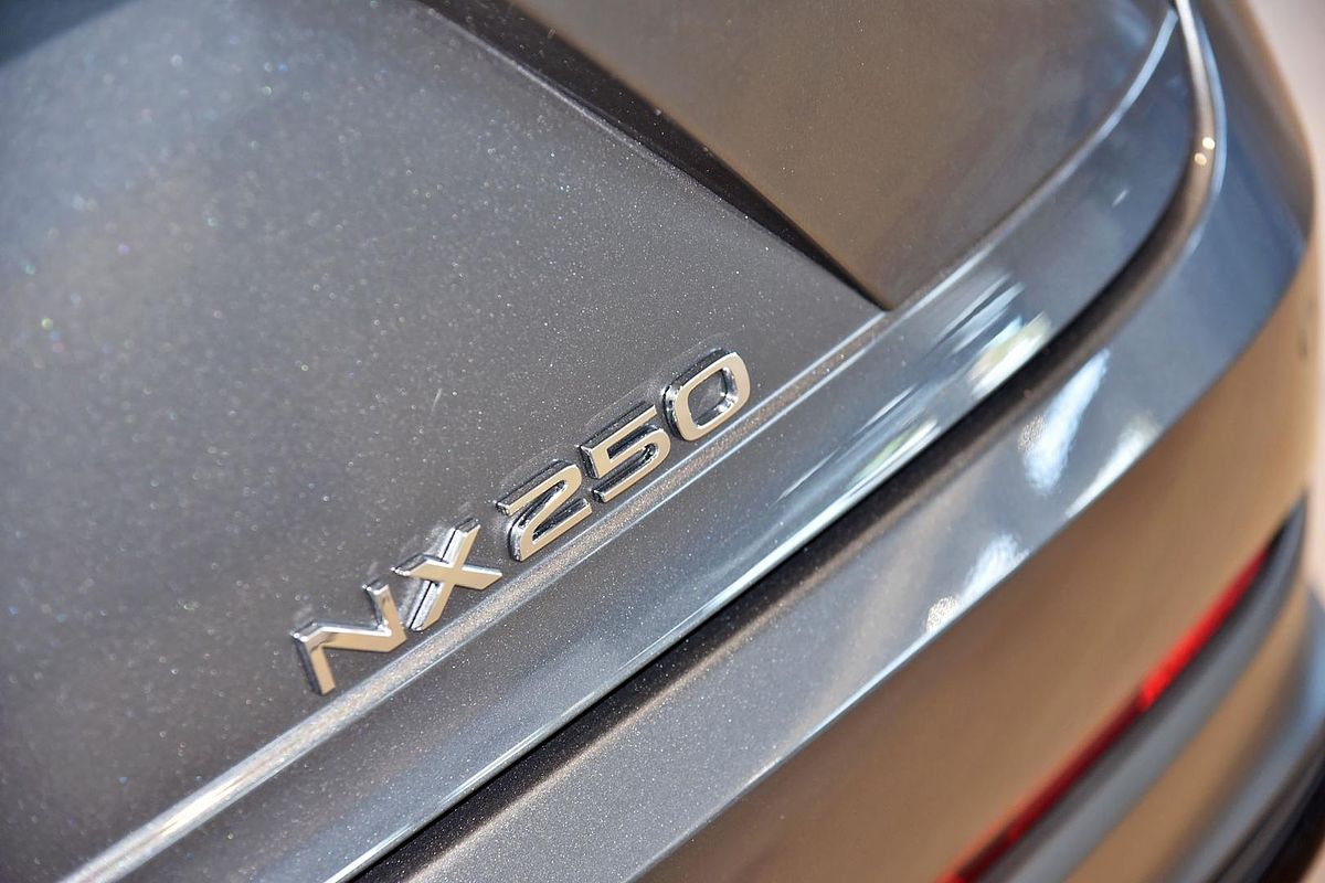 2024 Lexus NX NX250 AAZA20R