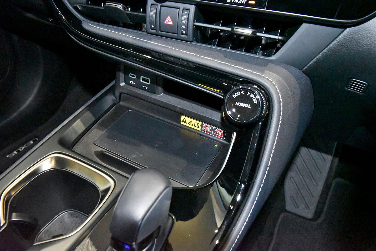 2024 Lexus NX NX250 AAZA20R