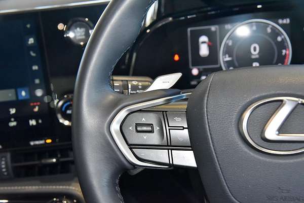 2024 Lexus NX NX250 AAZA20R