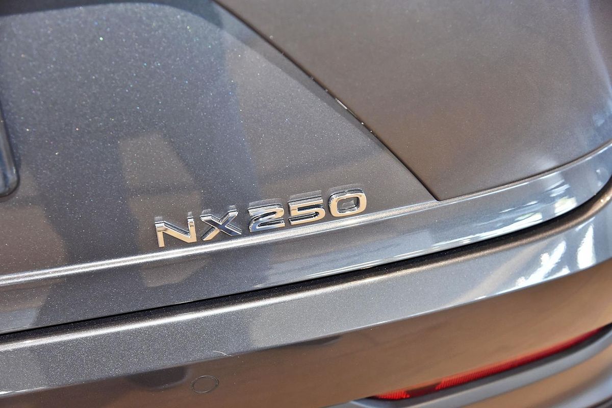 2024 Lexus NX NX250 AAZA20R