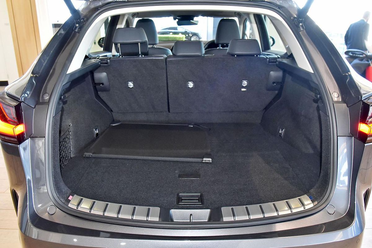 2024 Lexus NX NX250 AAZA20R