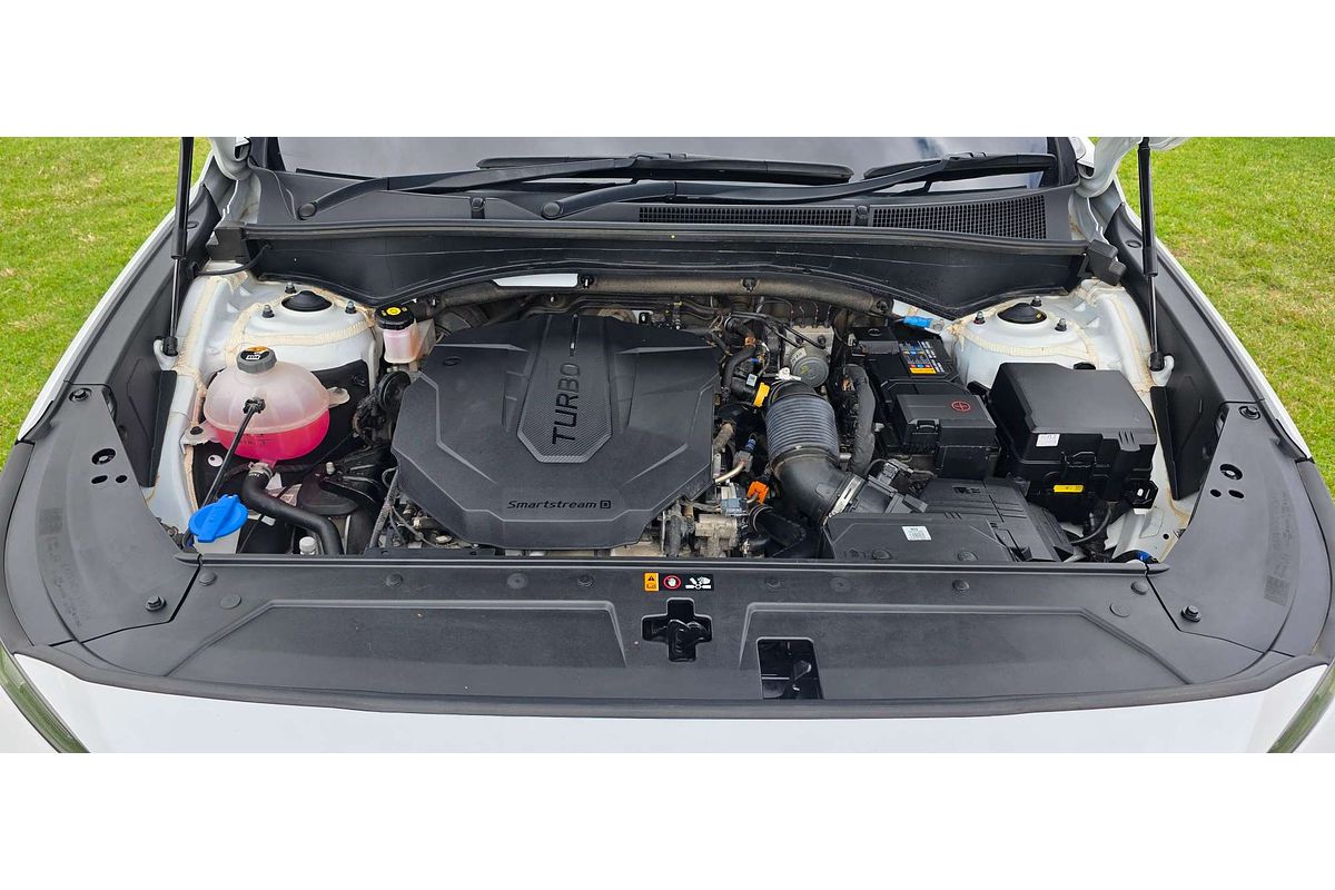 2020 Hyundai Santa Fe TM.V3