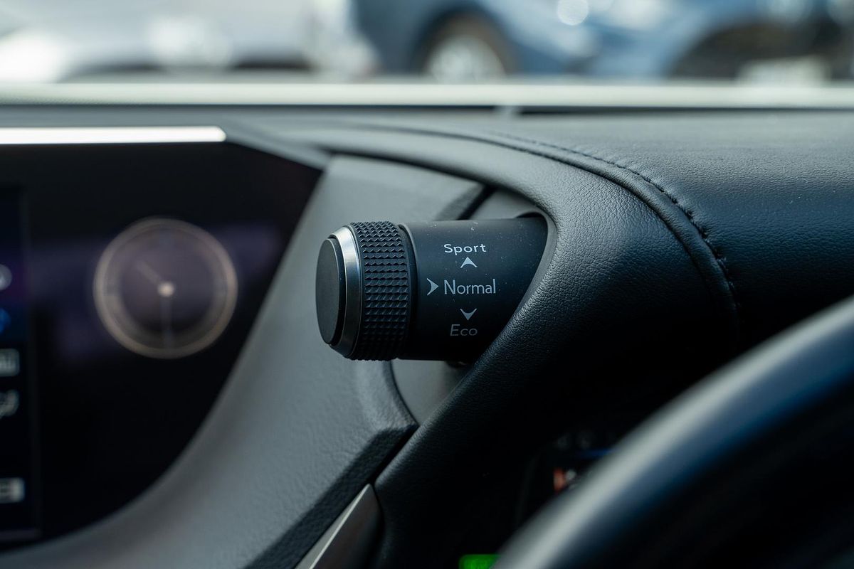 2019 Lexus ES ES300h Sports Luxury AXZH10R