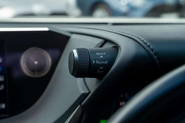 2019 Lexus ES ES300h Sports Luxury AXZH10R