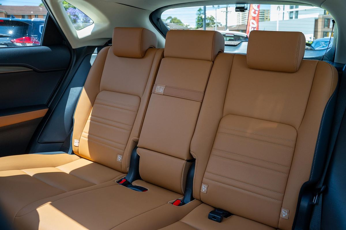 2020 Lexus NX NX300 Luxury AGZ10R