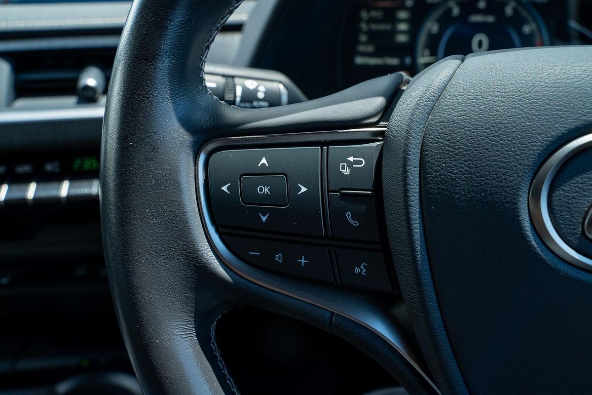 2019 Lexus UX UX200 Sport Luxury MZAA10R