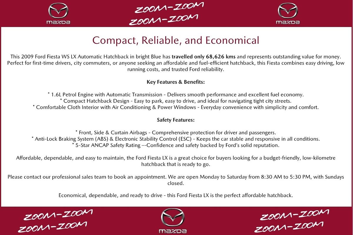 2009 Ford Fiesta LX WS