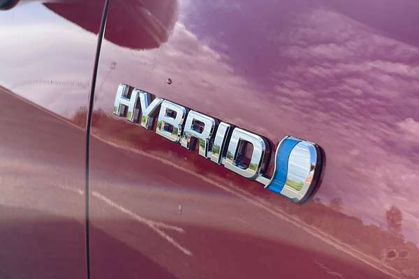 2024 Toyota RAV4 Cruiser AXAH54R