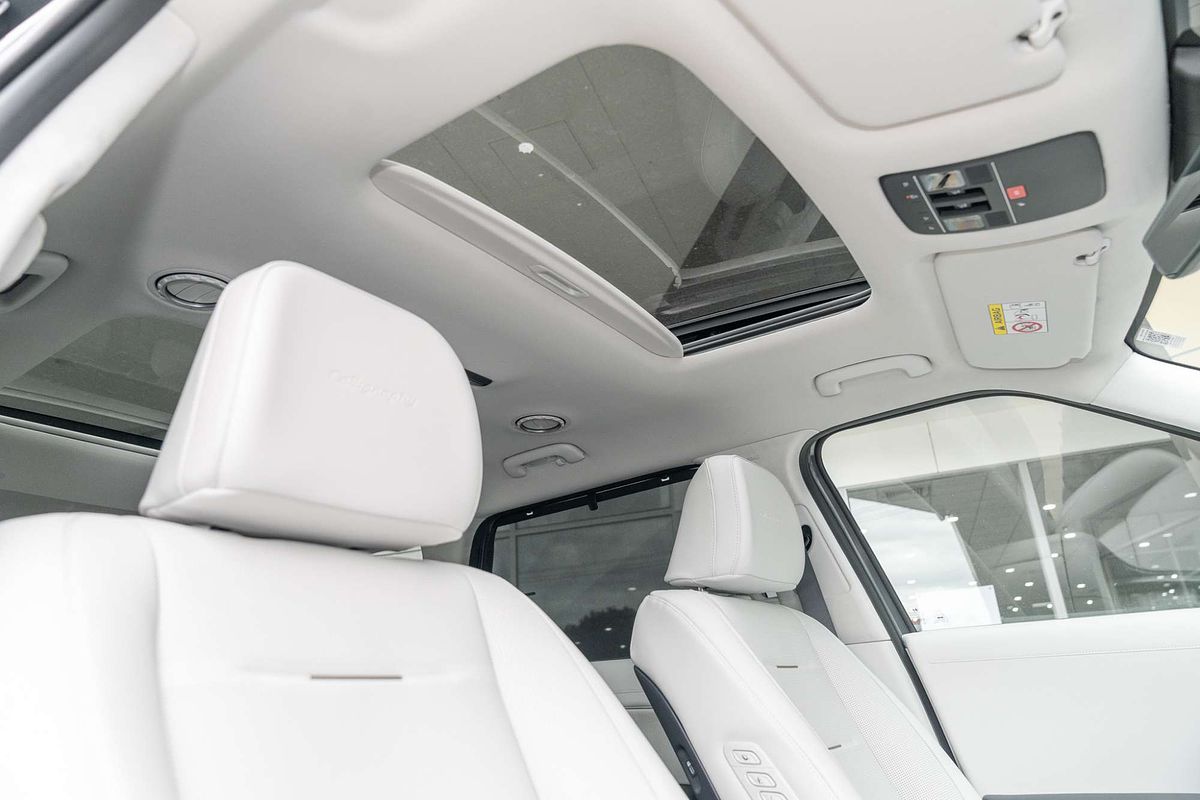 2025 Hyundai Palisade Calligraphy LX3.V1