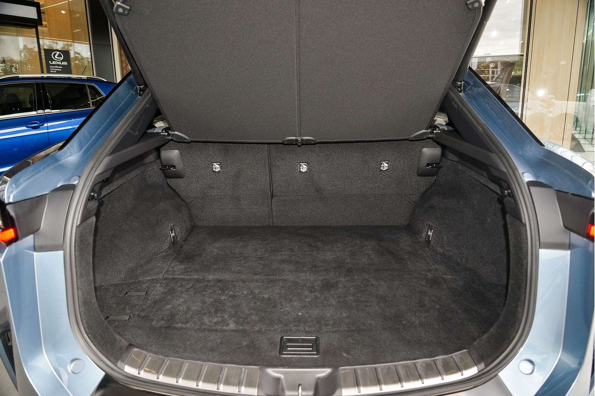 2023 Lexus RZ RZ450e Sports Luxury XEBM15R