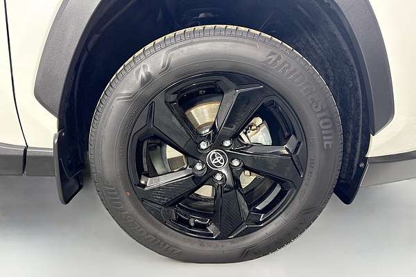 2021 Toyota RAV4 Cruiser AXAH52R