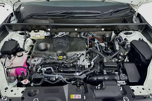 2021 Toyota RAV4 Cruiser AXAH52R