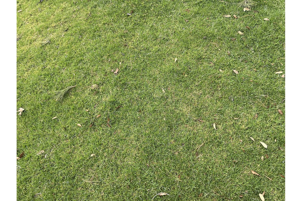 2022 Toyota Landcruiser Sahara FJA300R