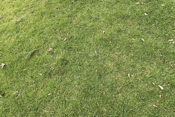 2022 Toyota Landcruiser Sahara FJA300R