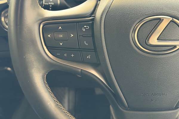 2020 Lexus UX UX200 Luxury MZAA10R