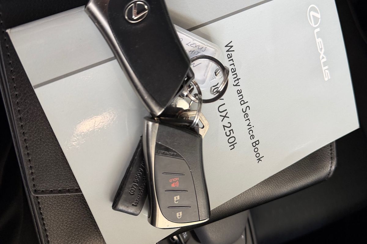 2020 Lexus UX UX200 Luxury MZAA10R