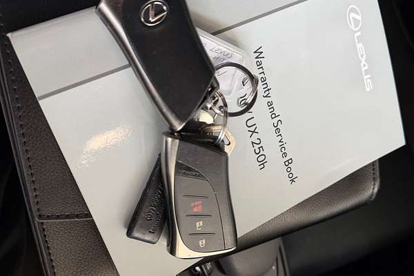 2020 Lexus UX UX200 Luxury MZAA10R