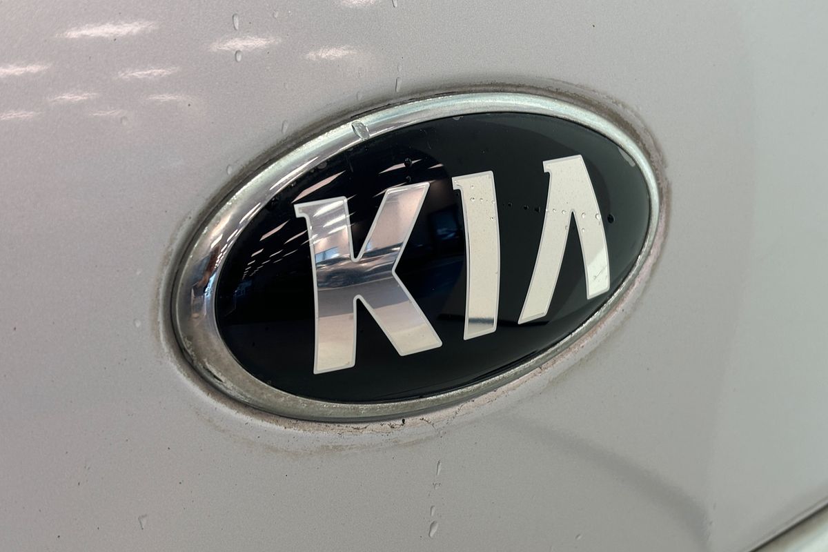 2017 Kia Carnival Platinum YP