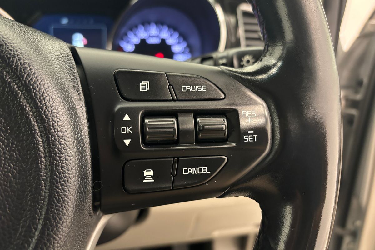 2017 Kia Carnival Platinum YP