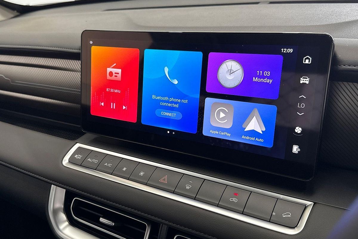 2025 GWM Cannon Premium NPW