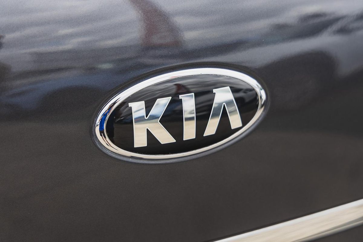 2017 Kia Carnival Platinum YP