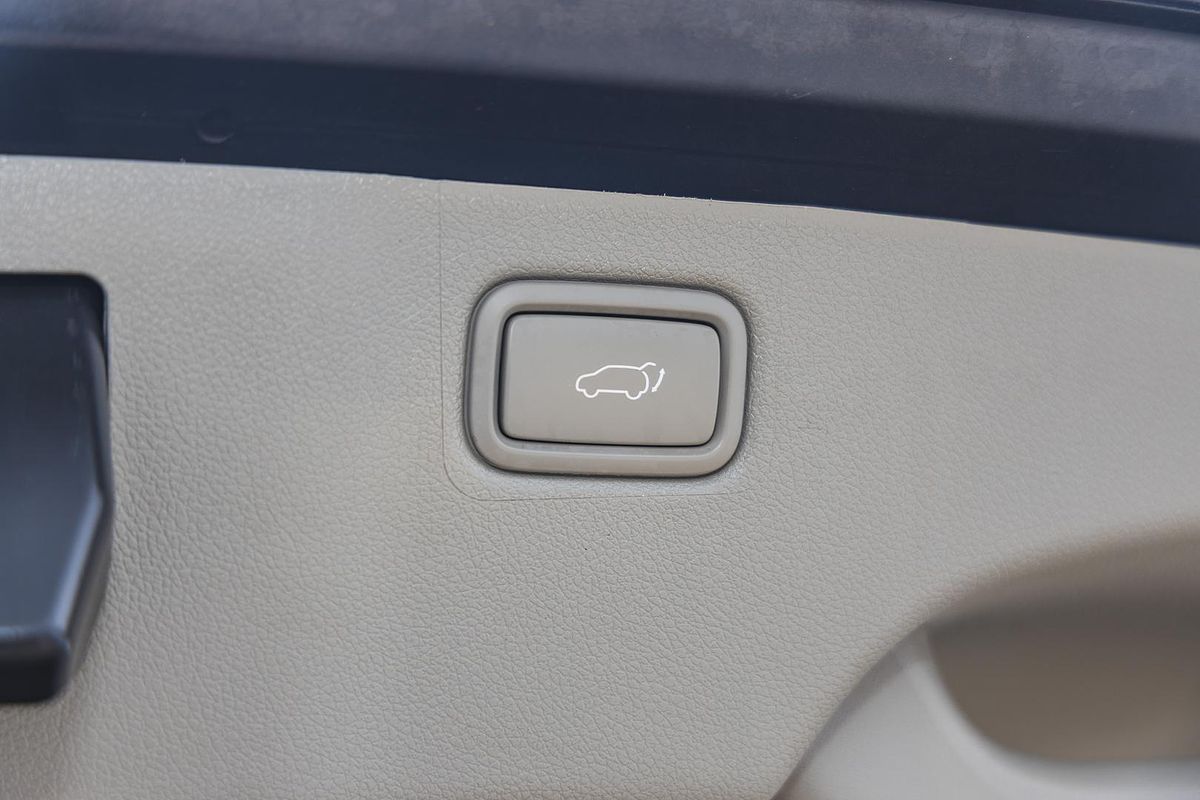 2017 Kia Carnival Platinum YP